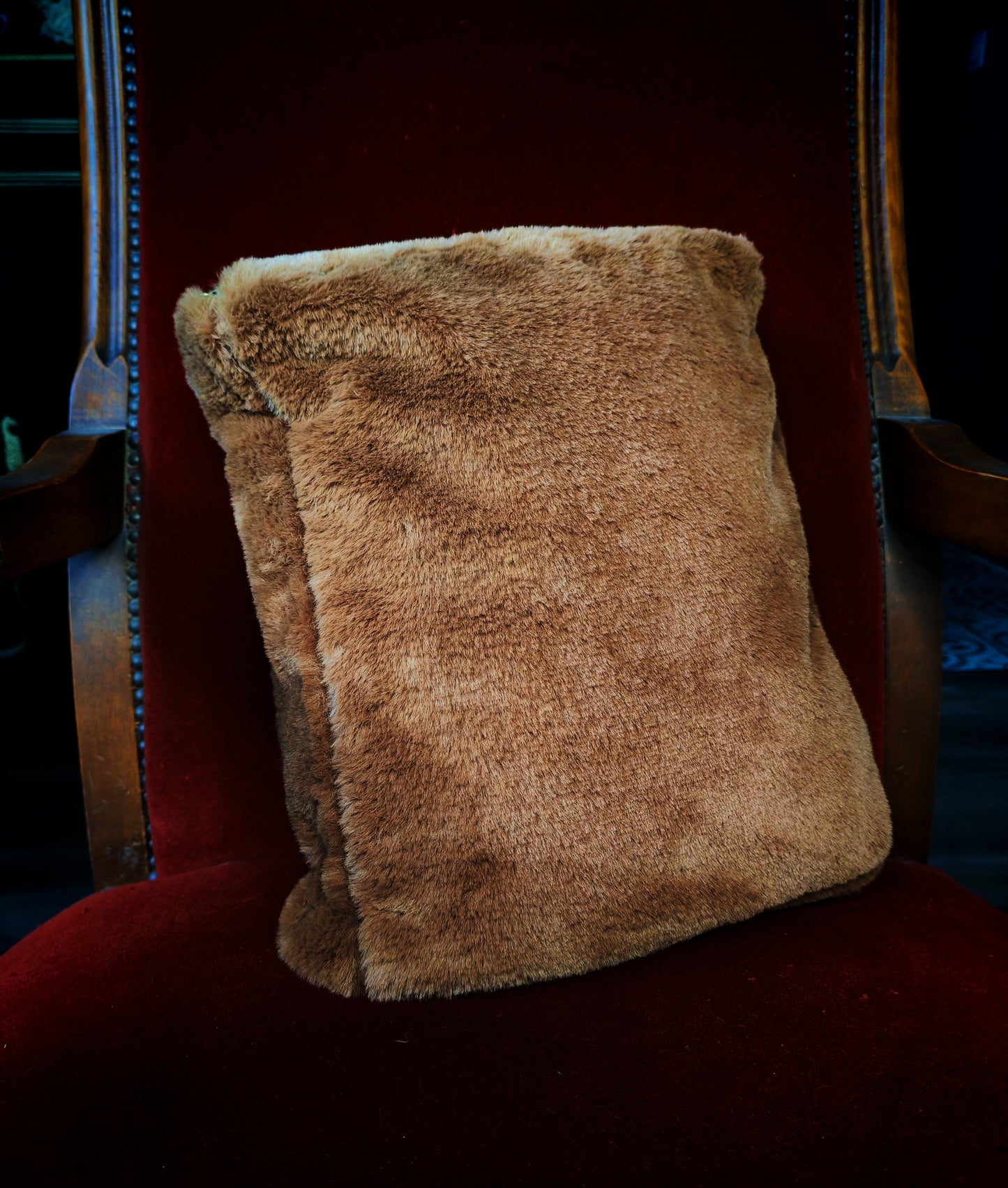 Pochette "Scooby-Doo"