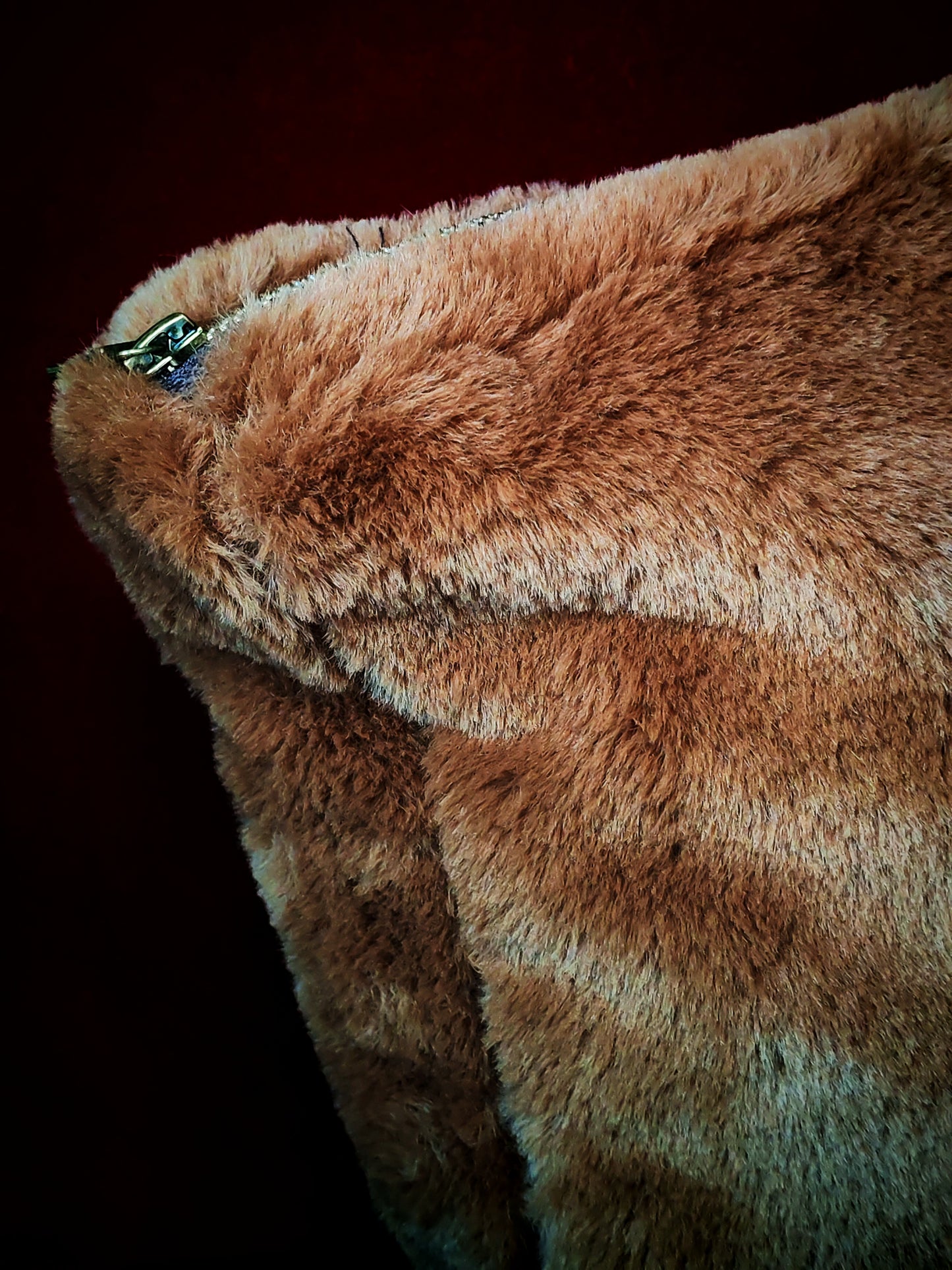 Pochette "Scooby-Doo"