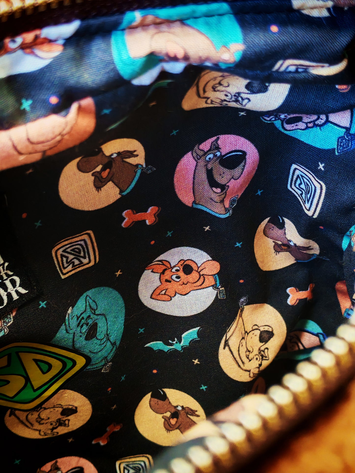 Pochette "Scooby-Doo"